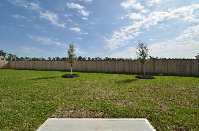 Building Photo - 4 Florentino Vine Pl