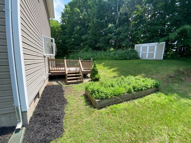 Building Photo - 3 Bedroom Home Colchester Available 8/15th!