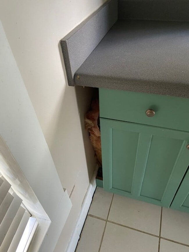 Building Photo - Beautiful 3brm, 2bath Home in Heart of Bur...