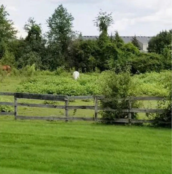 Building Photo - 49760 Potomac Ct