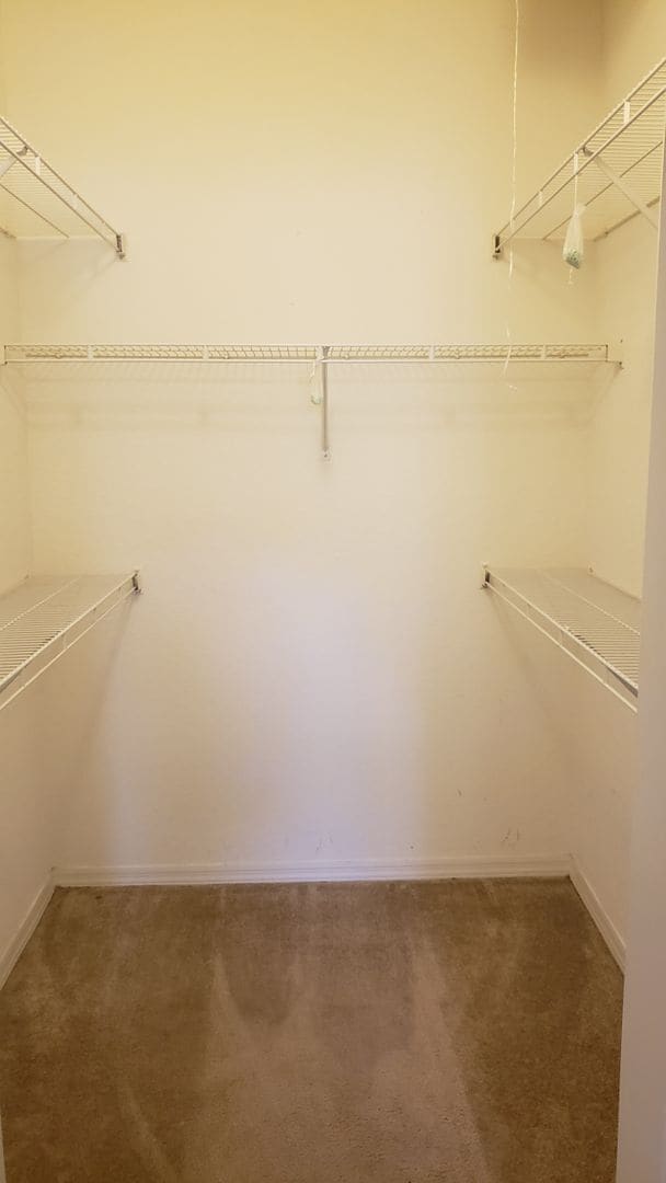Building Photo - Large 3-Bedroom, 2-Bath Condo with Solariu...