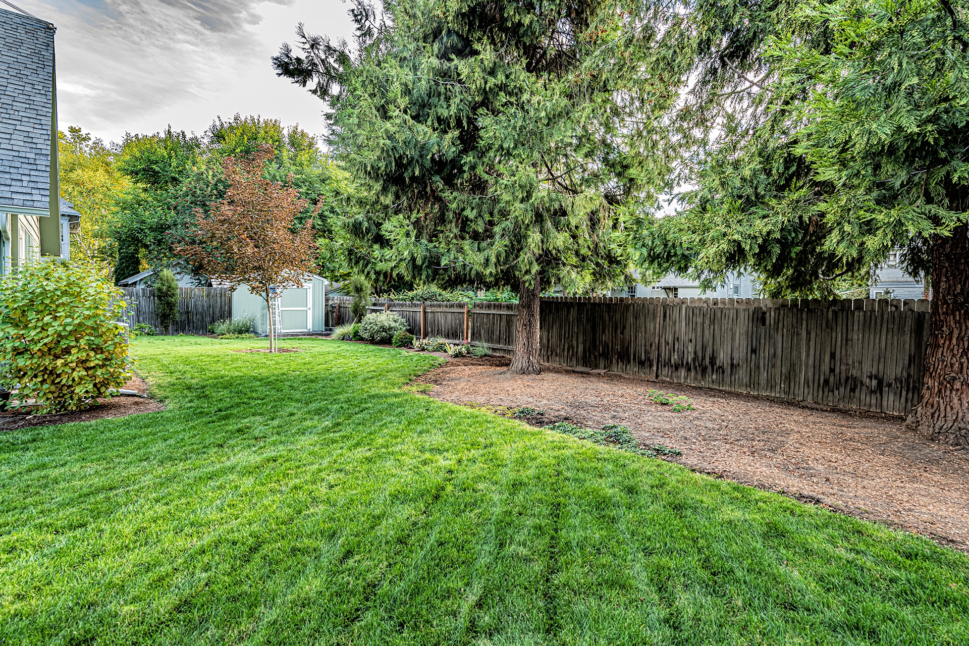 Front and side yard - 126 Newell Street