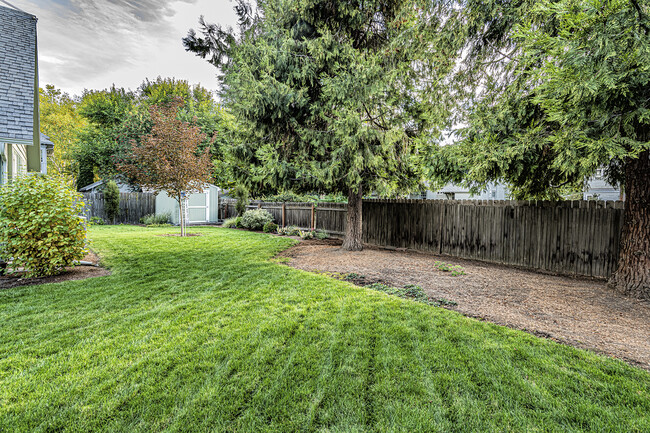 Front and side yard - 126 Newell Street