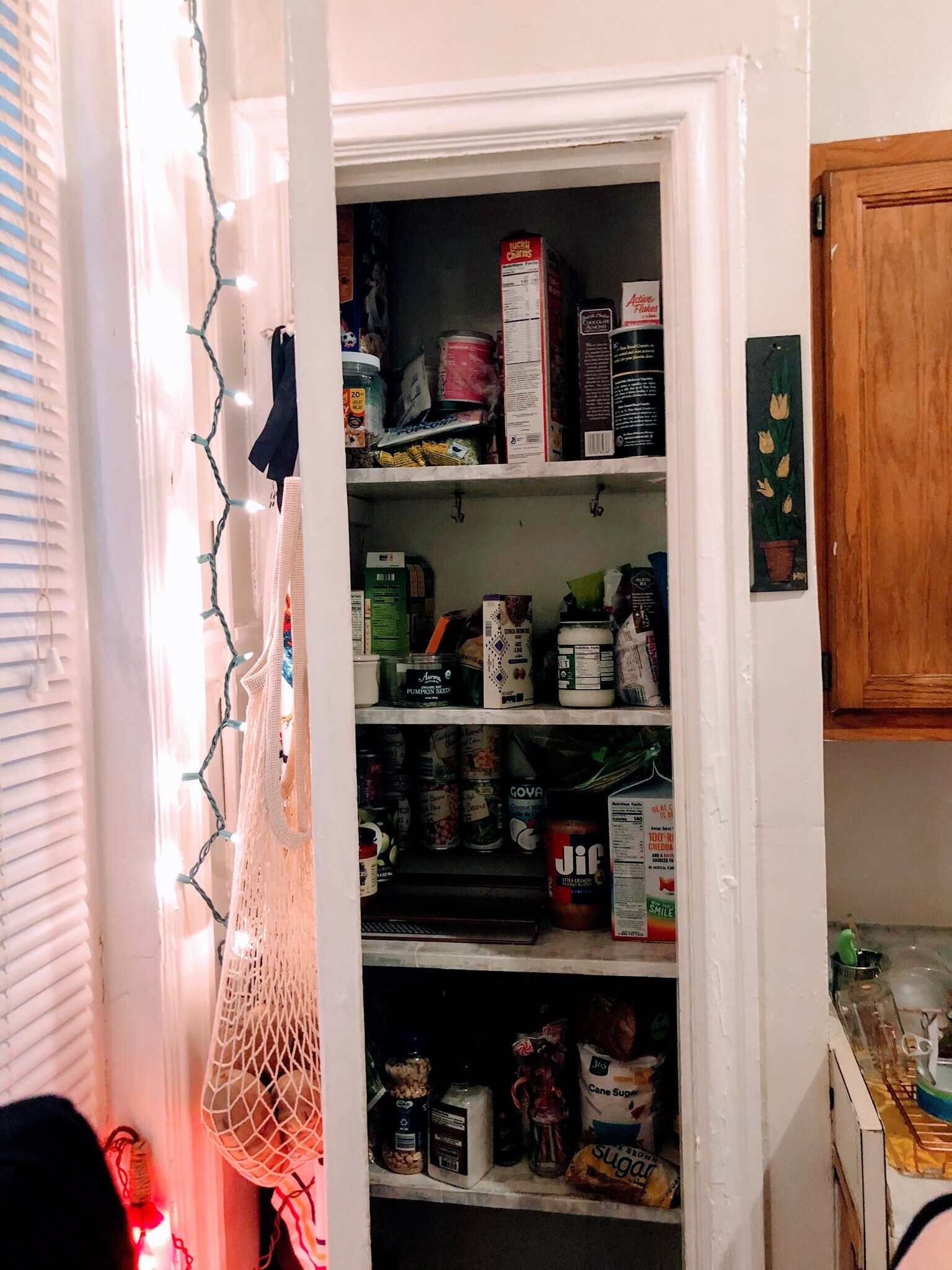 Kitchen Pantry - 1424 Grove Ave