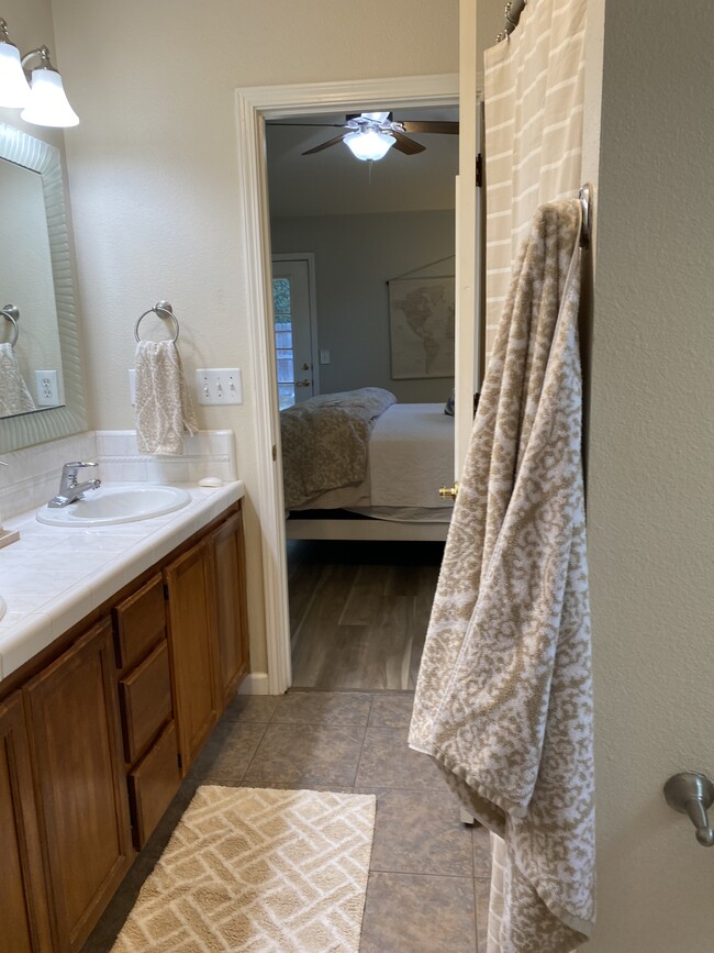 Master bathroom into walk in closet - 1452 Sudan Ct