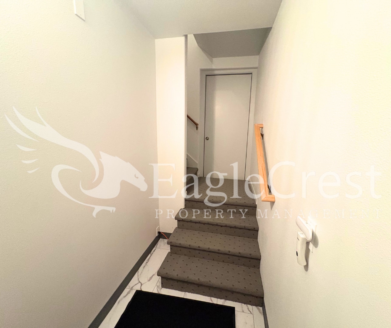 Building Photo - Brand-New Bright & Open Studio Apartment ~ $300.00 OFF 2nd Month Rent!!
