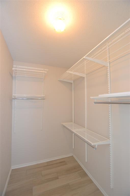 Building Photo - 703 Flower Field Ct