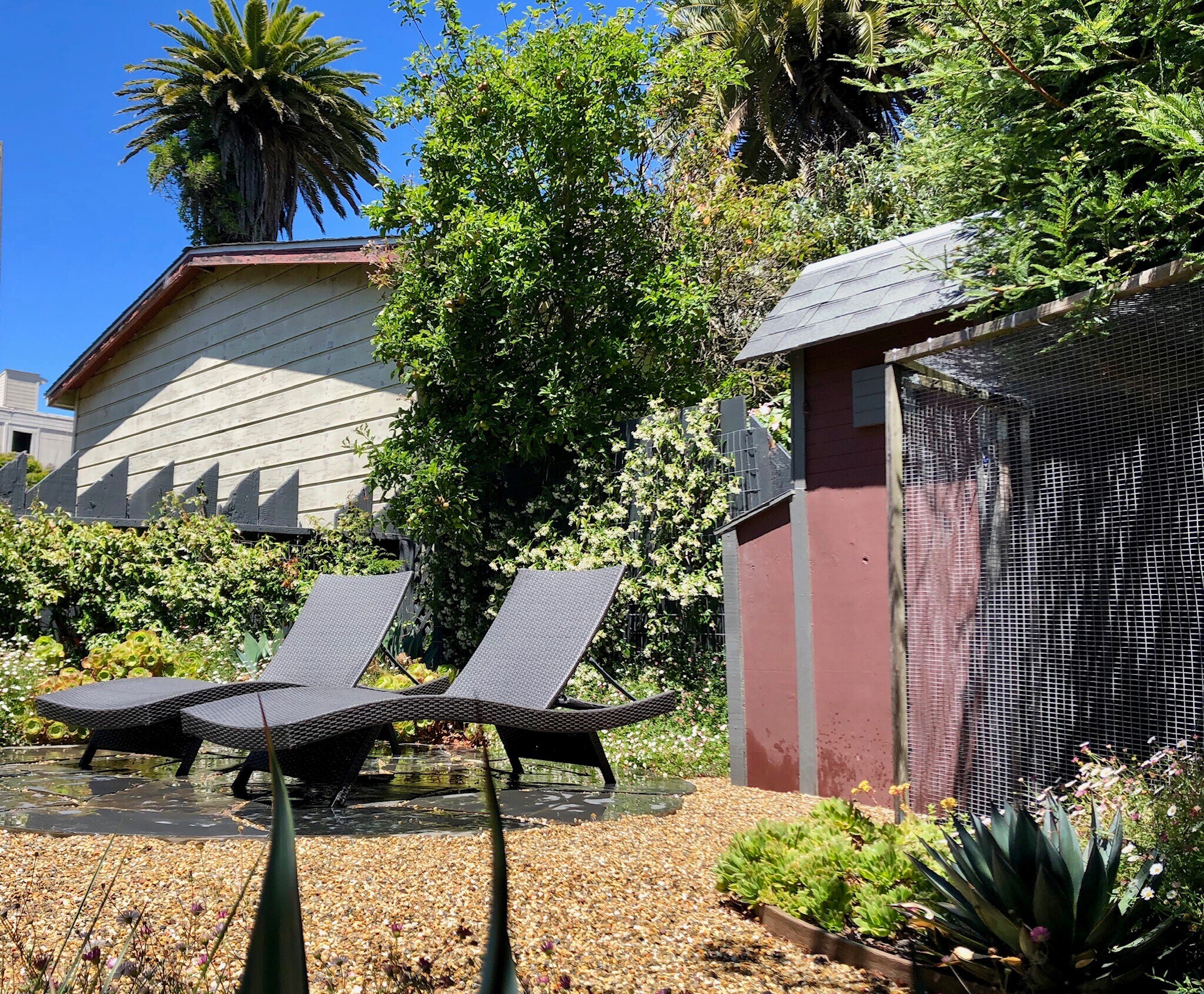 Shared garden - 1528 Fulton Street