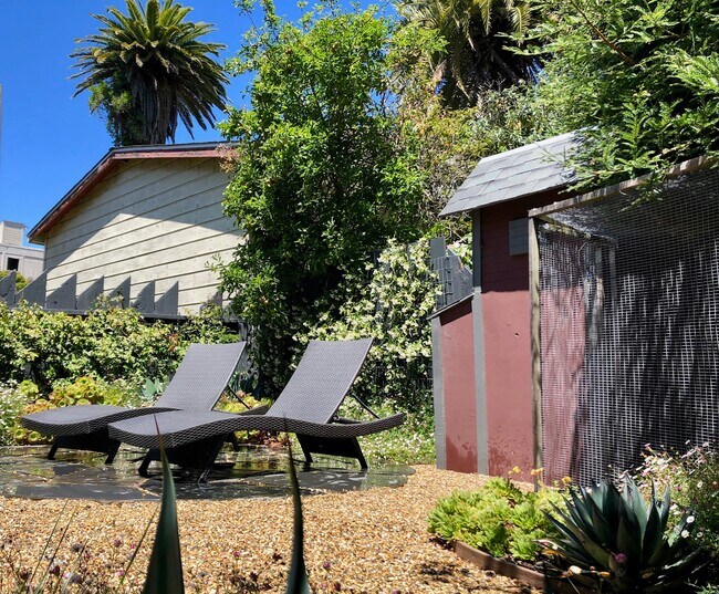 Shared garden - 1528 Fulton Street