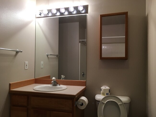 First floor bathroom - 4001 Lunar Dr