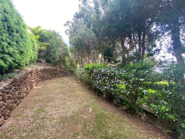 Building Photo - Kamuela Heights