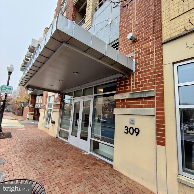 Building Photo - 309 Holland Ln