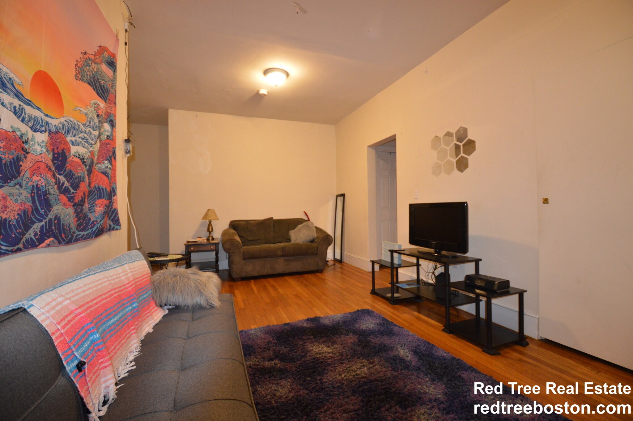 Building Photo - 66 Egmont St