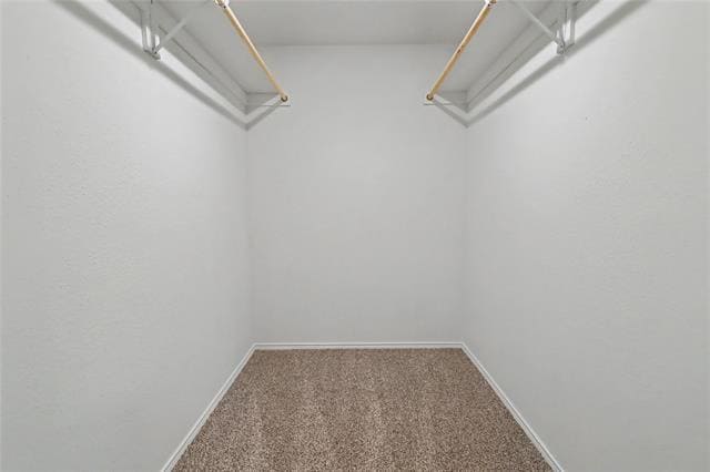 Building Photo - 2313 Becard Dr
