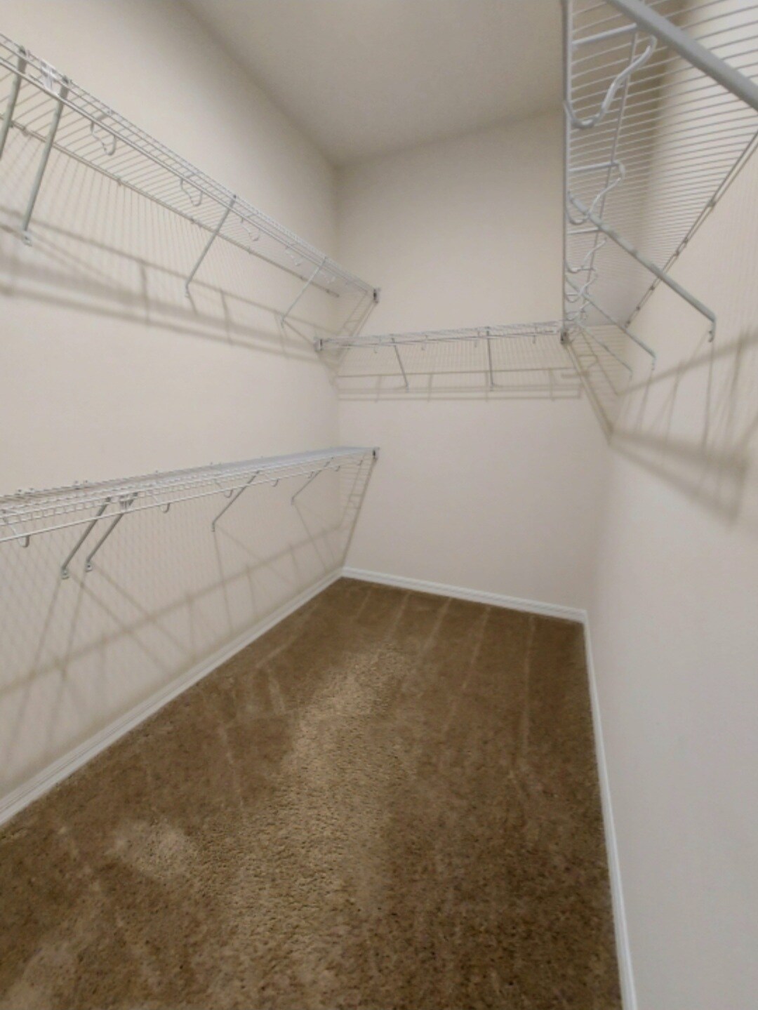 Walk-in closet - 2500 Avian Loop