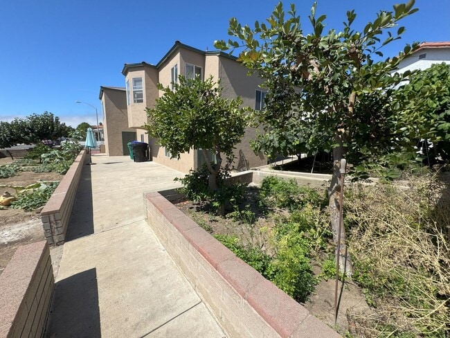 Building Photo - POINT LOMA HOME 3br/1ba remodeled home loc...