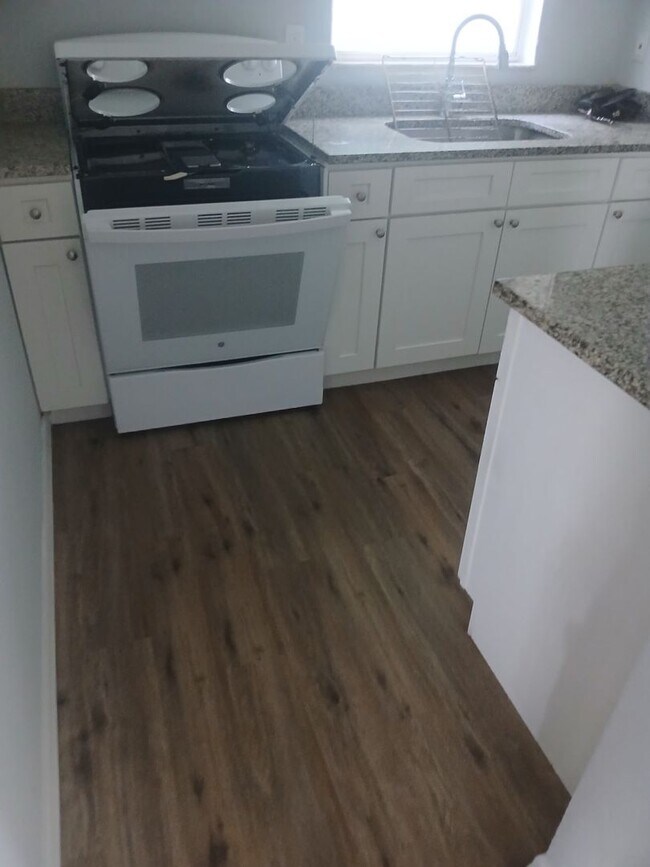 Building Photo - Renovated one bedroom with dog area heart of Tampa near veterans hospital and USF