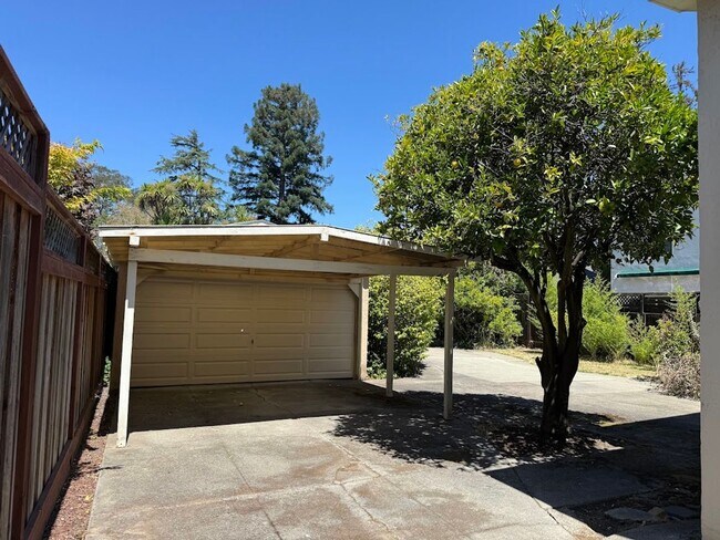 Building Photo - 1808 Sanchez Ave