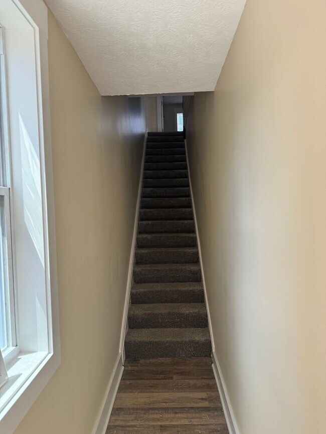 Building Photo - 206 Maple Ter