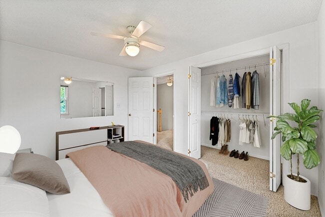 Building Photo - 38 Haskell St