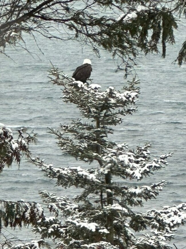 Building Photo - 392 Buck Loop Rd