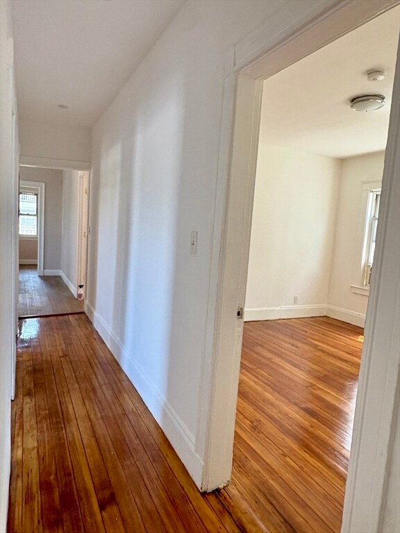 Building Photo - 1060 Dorchester Ave