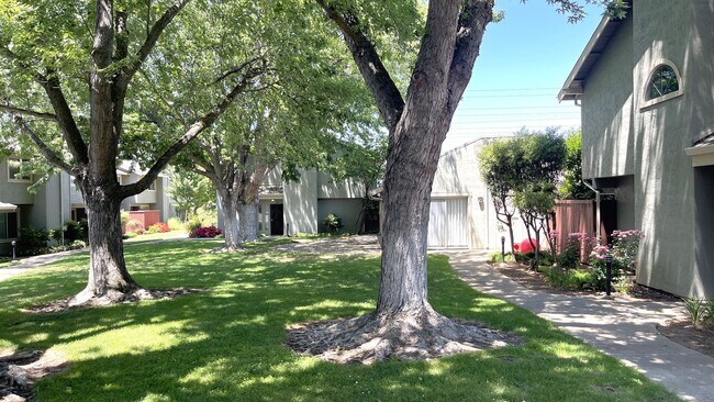Building Photo - Concord Beautiful remodeled 3 bedroom 2 ba...