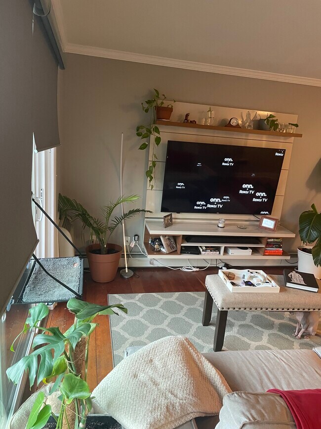 Living Room - 591 Glendale Ave