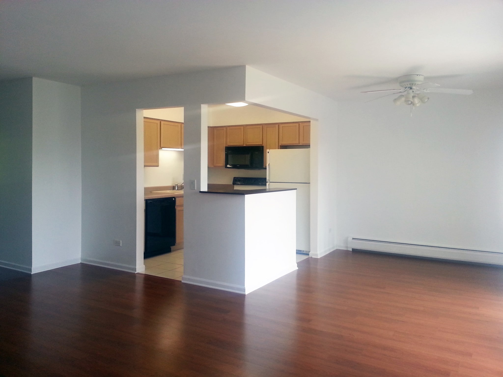 Building Photo - 995 S Ct of Shorewood