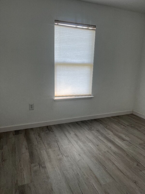 Building Photo - 2557 Peter Jefferson Ln