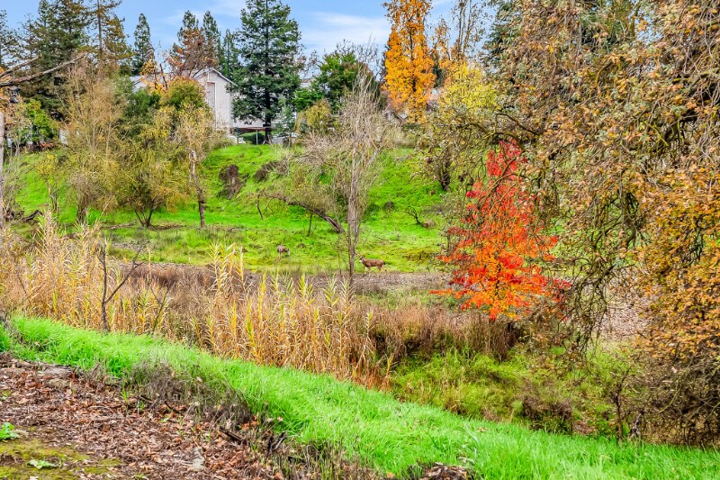 Building Photo - 33 Irby Ranch Dr