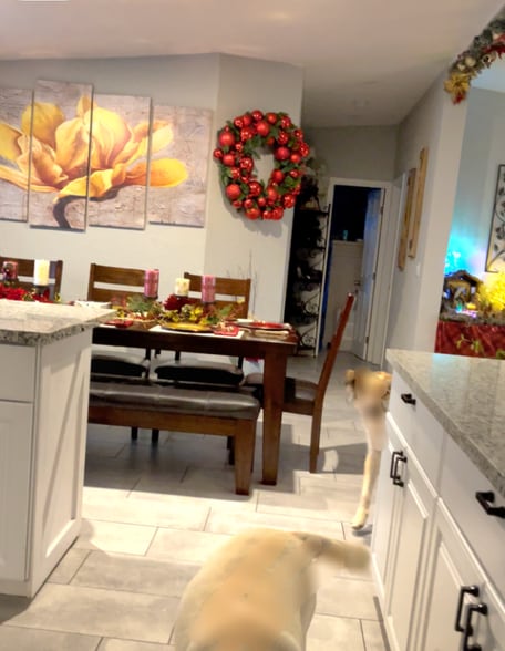 Building Photo - 393 W 4th Ave