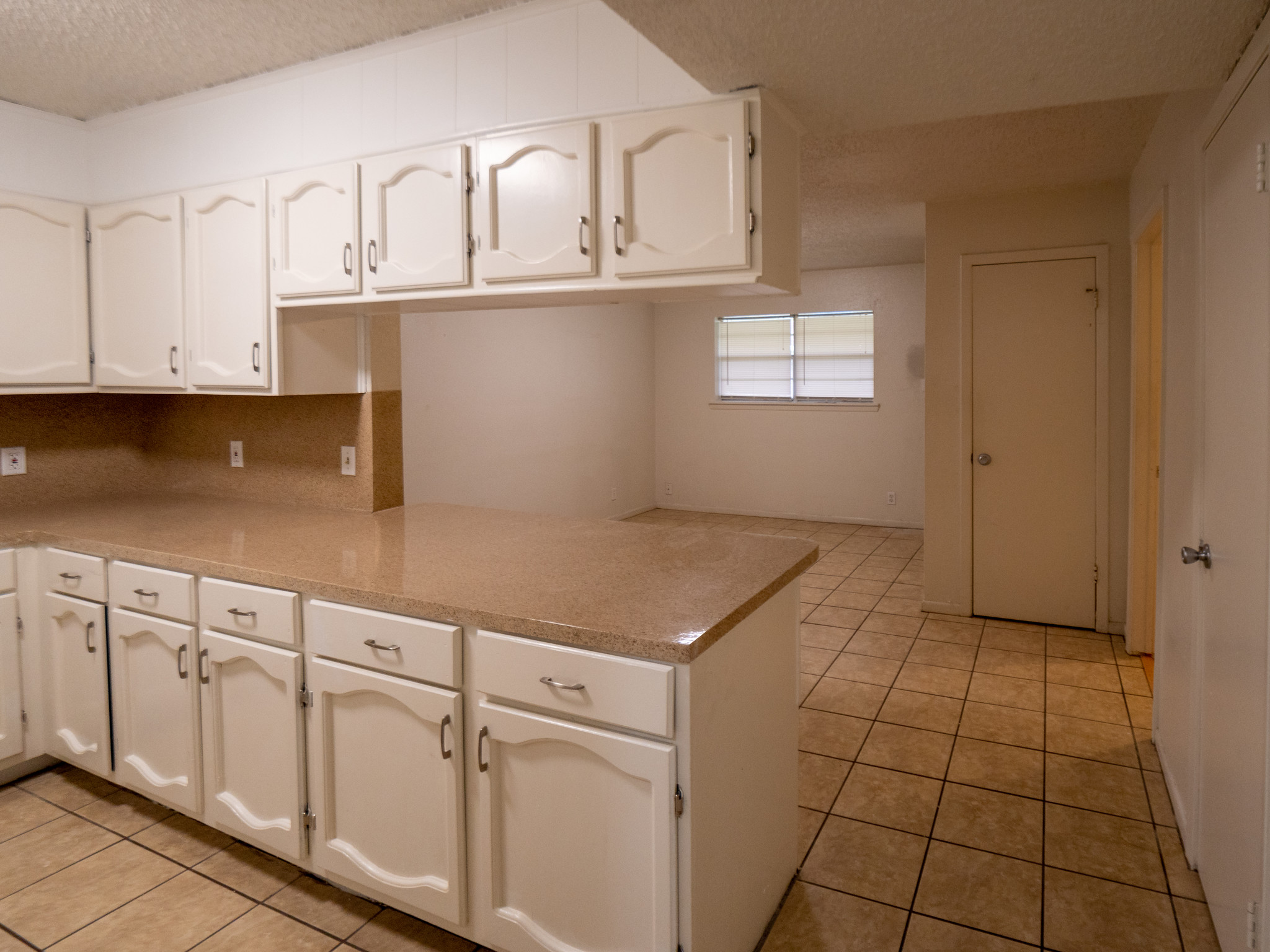 Open Kitchen & Living Room - 303 Hardy Ave