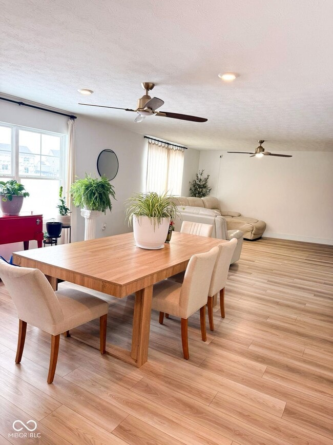 Building Photo - 439 Cape May Dr