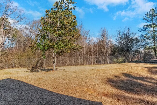 Building Photo - Adorable 3BR / 2Bath Home in Griffin! 1 Acre Lot!