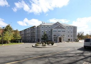 Building Photo - Carmen Romano Apartments