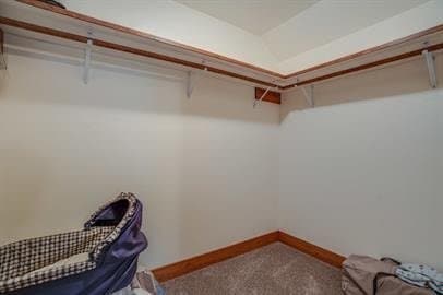 Building Photo - 401 Icehouse Ter