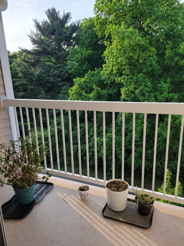 Building Photo - 23 Augustus Ct