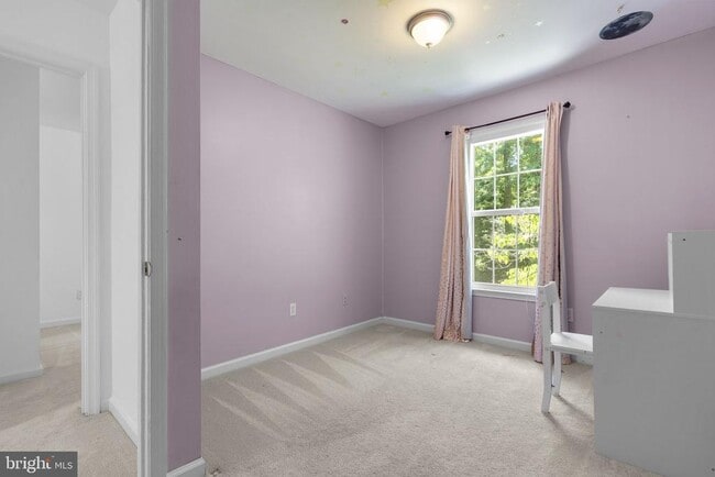 Building Photo - 2407 Alsop Ct