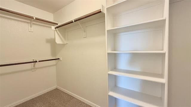 Building Photo - 813 Evergreen St