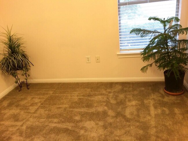 Building Photo - 2320 Gracy Farms Ln