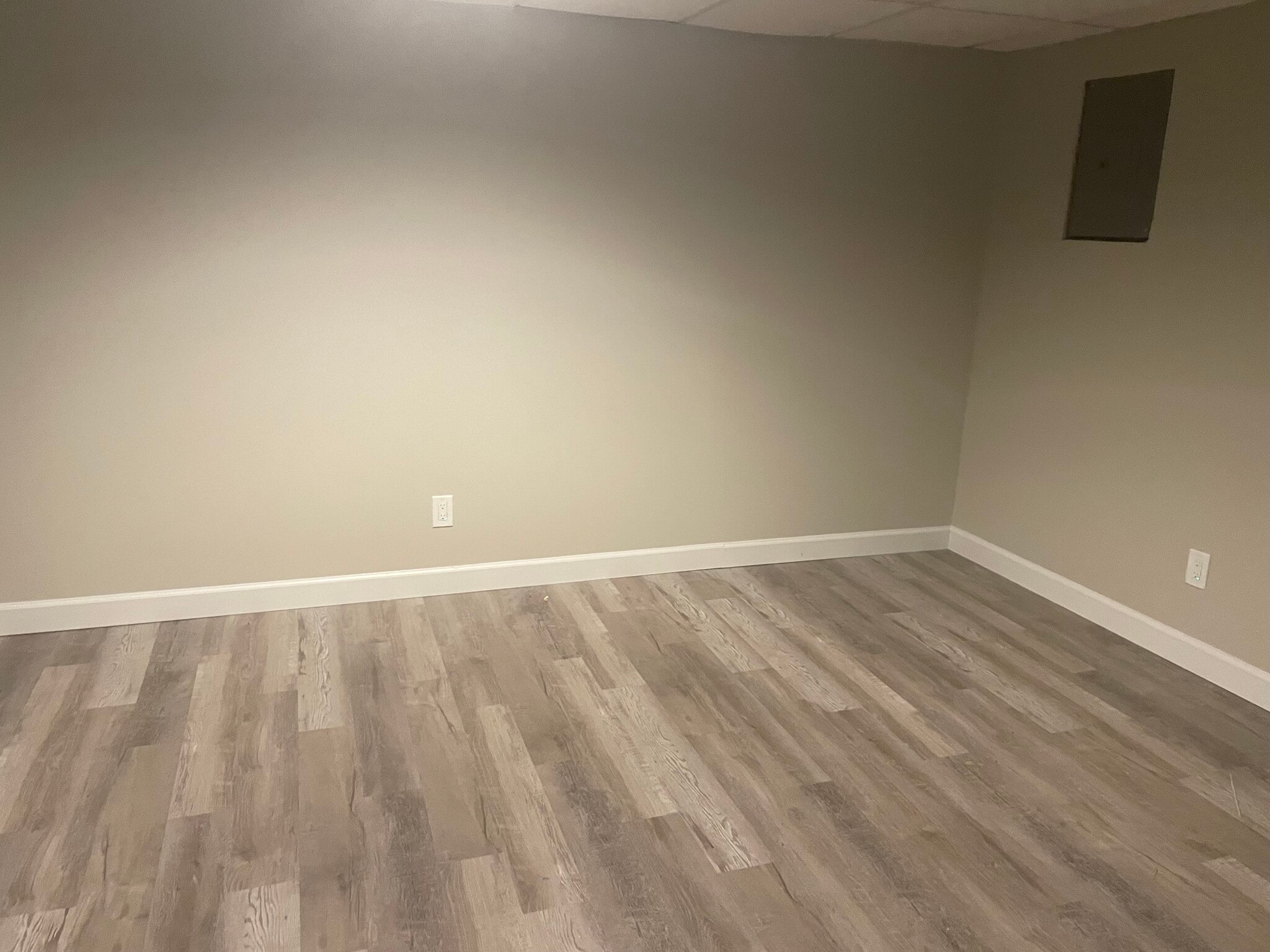 Basement with bonus rooms for office or play - 1495 Brittany Cv