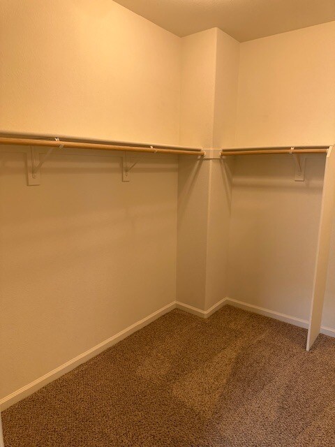 Building Photo - Lathrop 4 Bedroom 3 Bathroom Home.