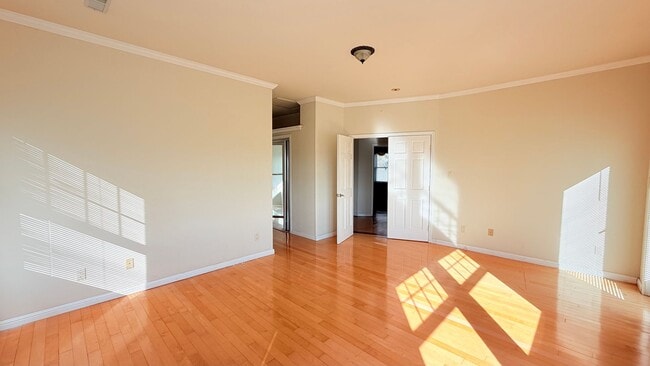 Building Photo - 738 Palmera Ct