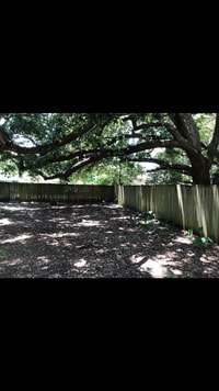 Building Photo - 2307 Fernwood St