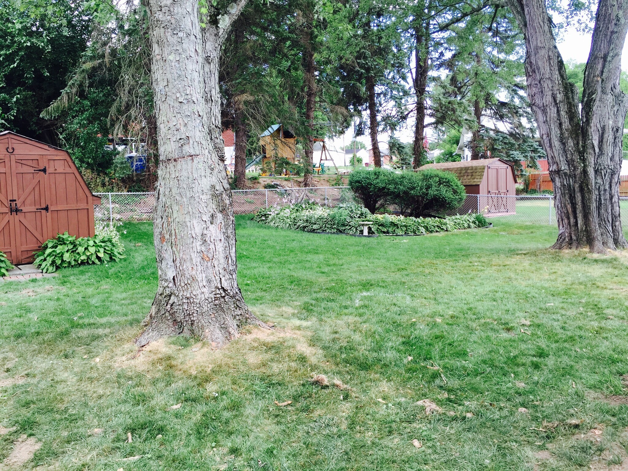 Large fenced in yard. - 263 East Fairmont Avenue