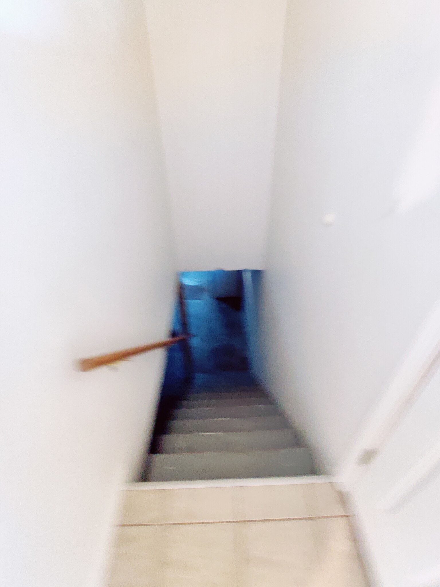 Basement entrance - 3291 Bristol Hall Dr