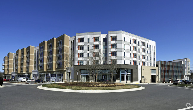 Building Photo - The Daley at Shady Grove Metro