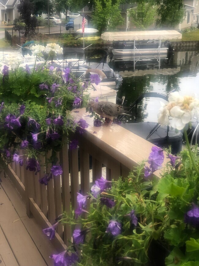 Large balcony to view the lake - 40 Park Island Dr