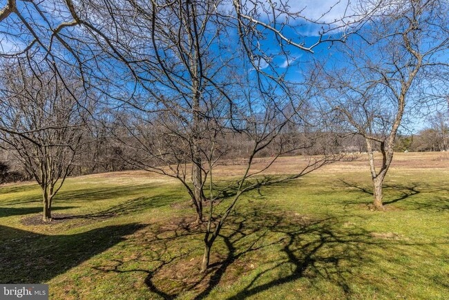 Building Photo - 703 Mountainview Dr